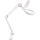 Extol - LED stolna lampa s lupom i mogućnošću regulacije svjetline LED/10W/230V bijela