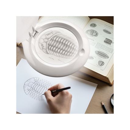 Extol - LED stolna lampa s lupom i mogućnošću regulacije svjetline LED/10W/230V bijela