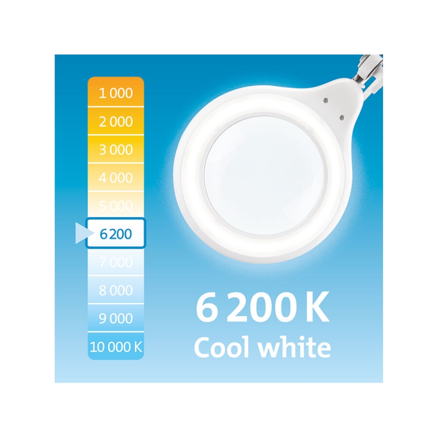 Extol - LED stolna lampa s lupom i mogućnošću regulacije svjetline LED/10W/230V bijela