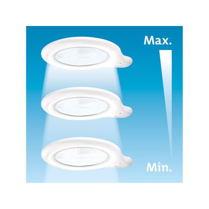Extol - LED stolna lampa s lupom i mogućnošću regulacije svjetline LED/10W/230V bijela