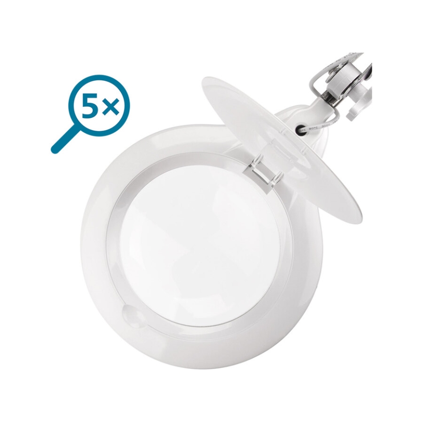 Extol - LED stolna lampa s lupom i mogućnošću regulacije svjetline LED/10W/230V bijela