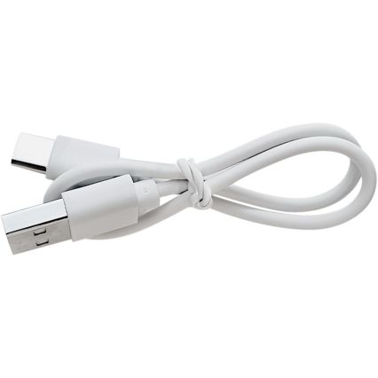 Extol - punjiva lupa s LED osvjetljenjem i podesivom svjetlinom, 650 mAh, bijela/siva