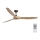 FARO 33519 - Stropni ventilator MOREA smeđa pr. 152 cm + daljinski upravljač