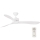 FARO 33750 - Stropni ventilator LUZON bijela