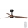 FARO 33817 - Stropni ventilator PUNT smeđa/crna pr. 130 cm + daljinski upravljač