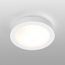 FARO 62965 - Stropna svjetiljka za kupaonicu LOGOS-1 1xE27/15W/230V IP44