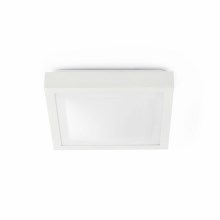 FARO 62969 - Stropna svjetiljka za kupaonicu TOLA 2 2xE27/20W/230V IP44