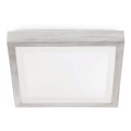 FARO 62983 - Stropna kupaonska svjetiljka TOLA 1 1xE27/20W/230V IP44