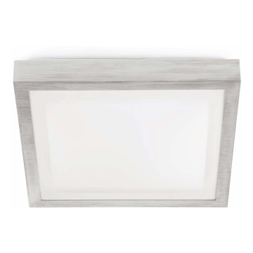 FARO 62983 - Stropna kupaonska svjetiljka TOLA 1 1xE27/20W/230V IP44
