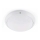 FARO 70722 - Vanjska stropna svjetlijka DAKRON 1xE27/40W/230V IP65