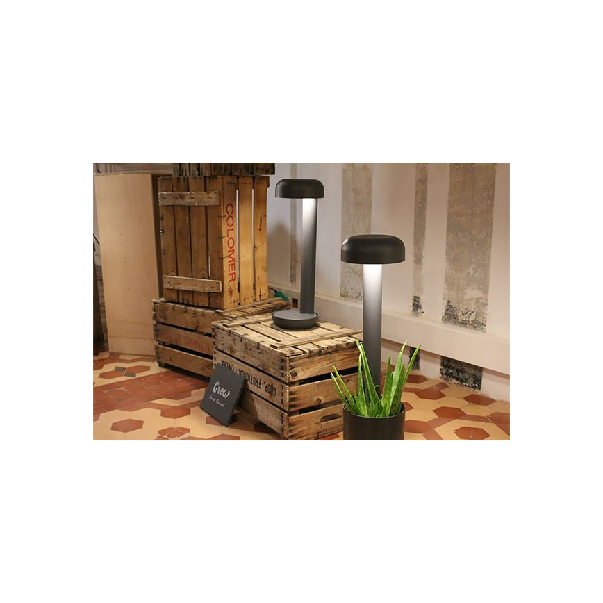 FARO 71206 - LED Vanjska svjetiljka GROW 1xLED/9W/230V IP65