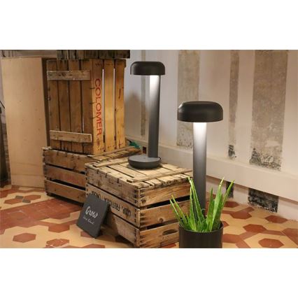 FARO 71206 - LED vanjsko svjetlo GROW LED/9W/230V IP65