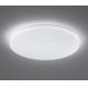 Fischer & Honsel 20330 - LED stropna svjetiljka za prigušivanje EVEN 1xLED/43W/230V