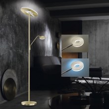 Fischer & Honsel - LED Prigušiva podna lampa DENT 1xLED/30W/230V + 1xLED/6W 2700-4000K