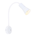 Fleksibilna lampa ARENA 1xE14/40W/230V bijela
