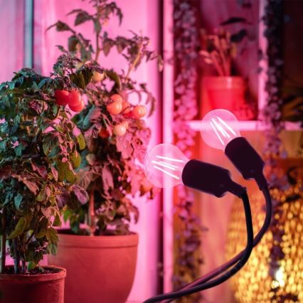 Fleksibilna stolna lampa s kvačicom za uzgoj biljaka PLANTY 2xE27/30W/230V crna