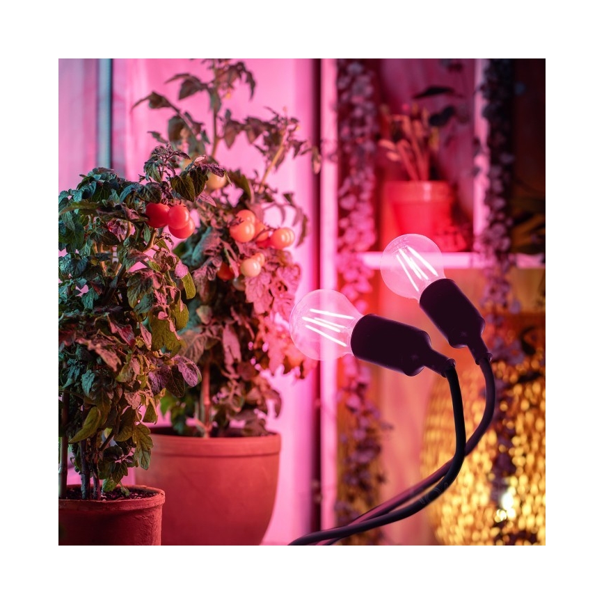 Fleksibilna stolna lampa s kvačicom za uzgoj biljaka PLANTY 2xE27/30W/230V crna