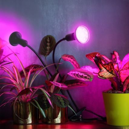Fleksibilna stolna lampa s kvačicom za uzgoj biljaka PLANTY 2xE27/30W/230V crna