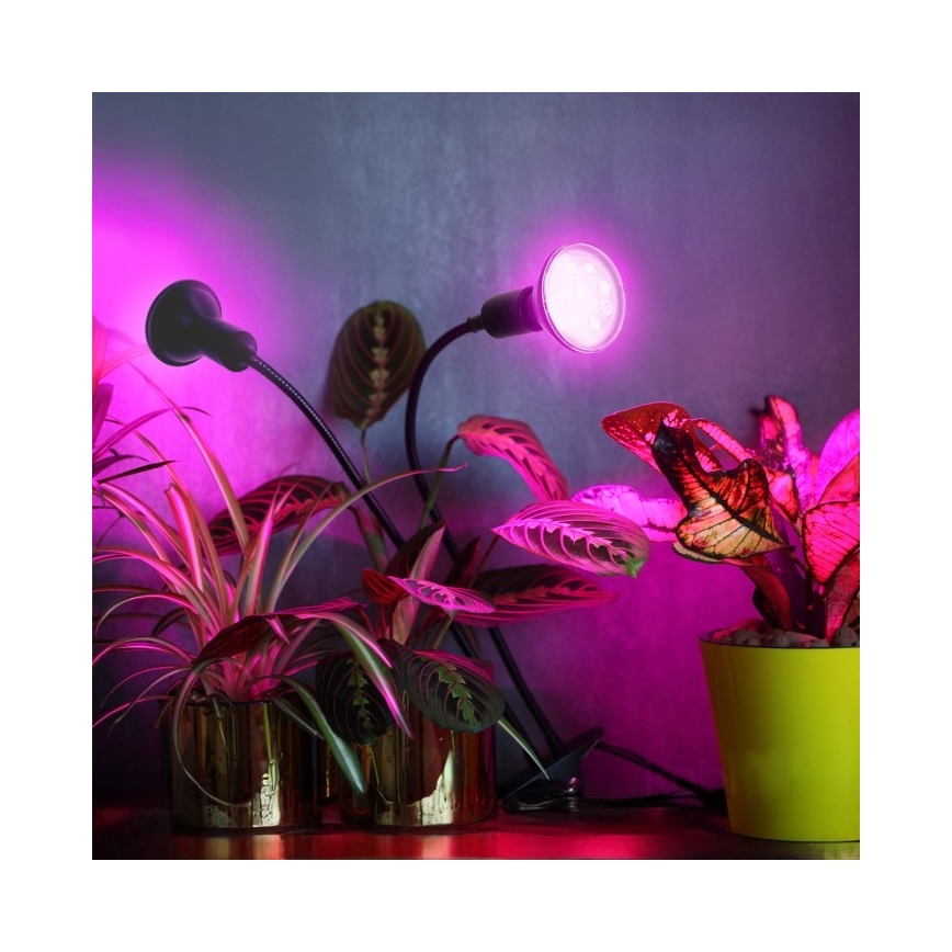 Fleksibilna stolna lampa s kvačicom za uzgoj biljaka PLANTY 2xE27/30W/230V crna