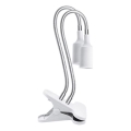 Fleksibilni stolna lampa s kopčom za uzgoj biljaka PLANTY 2xE27/30W/230V bijela