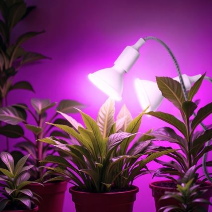Fleksibilni stolna lampa s kopčom za uzgoj biljaka PLANTY 2xE27/30W/230V bijela