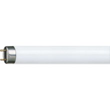 Fluorescentna cijev Philips G13/58,5W/230V