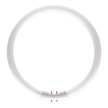 Fluorescentna cijev Philips MASTER 2GX13/55W/230V 3000K pr. 30,5 cm