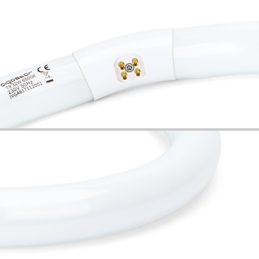 Fluorescentna cijev T9 G10q/32W/230V 6500K - Aigostar