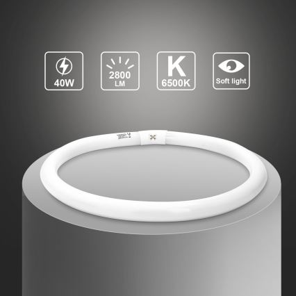 Fluorescentna cijev T9 G10q/40W/230V 6500K - Aigostar