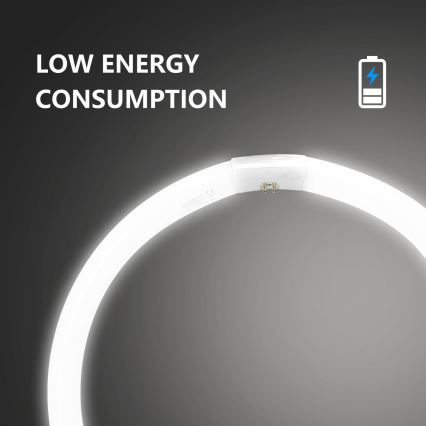 Fluorescentna cijev T9 G10q/40W/230V 6500K - Aigostar
