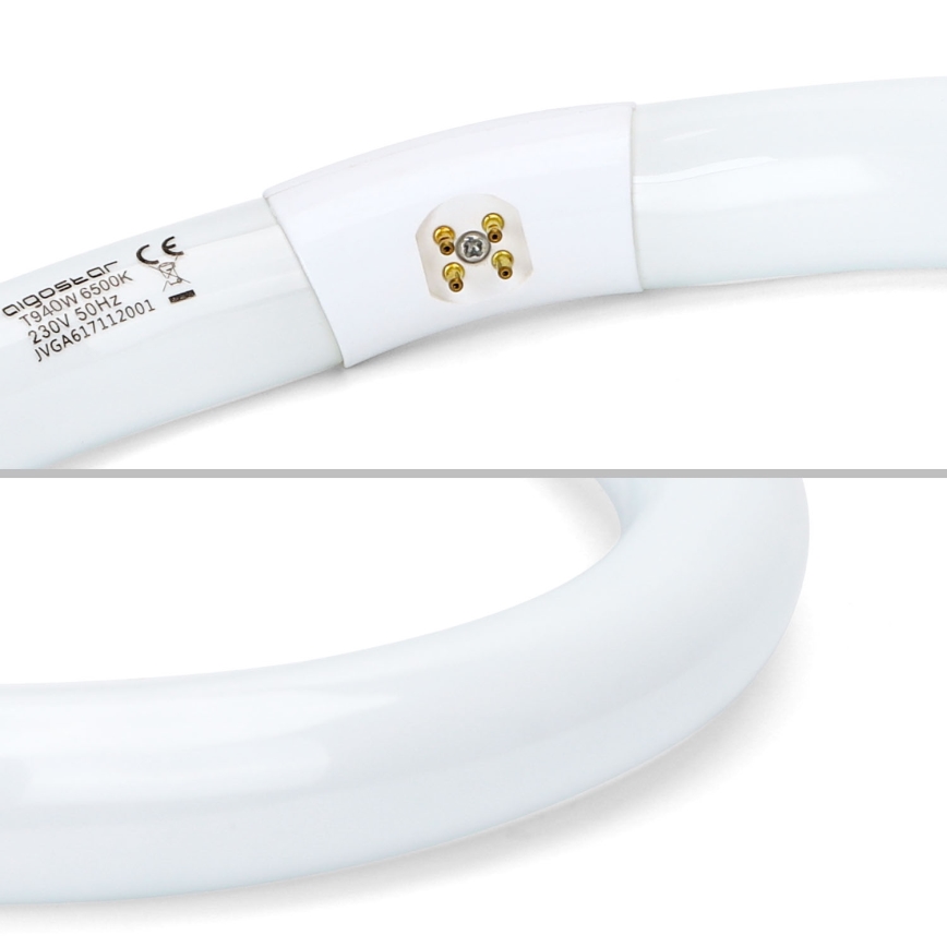 Fluorescentna cijev T9 G10q/40W/230V 6500K - Aigostar