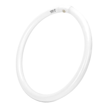 Fluorescentna cijev T9 G24q-1/40W/230V 6500K - Aigostar
