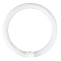 Fluorescentna cijev YH G10q/28W/230V 6500K - Fulgur 03045 promjer 23 cm