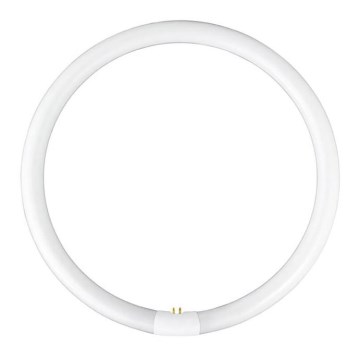 Fluorescentna cijev YH G10q/40W/230V 4000K T6 - Fulgur 03046 promjer 28 cm