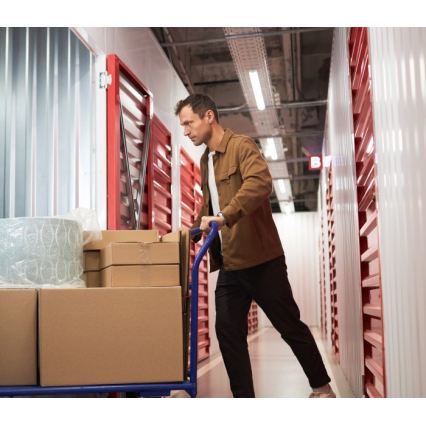 Fluorescentna rasvjetna armatura T8 DELFIA, 2x G13/18W, 230V, 124 cm, bijela