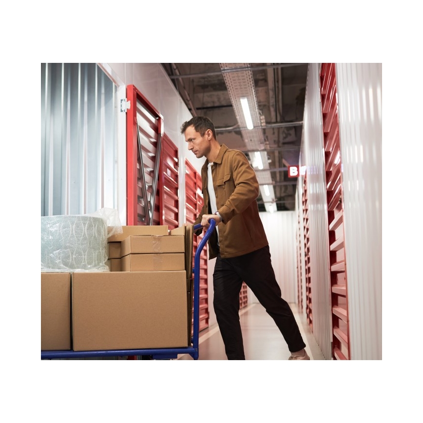 Fluorescentna rasvjetna armatura T8 DELFIA, 2x G13/18W, 230V, 124 cm, bijela