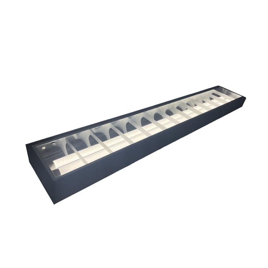 Fluorescentna svjetiljka T8 2xG13/18W/230V 120 cm crna