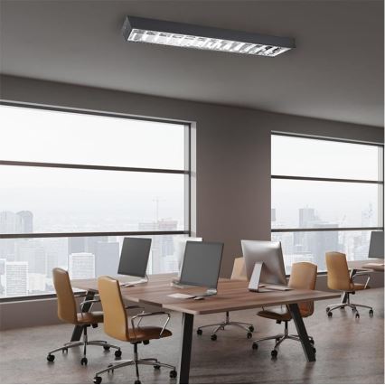 Fluorescentno svjetiljka T8 2xG13/18W/230V 120 cm crna