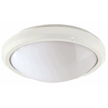 Fulgur 03416 - Industrijska stropna svjetiljka MELISSA 1xE27/75W/230V IP65