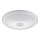 Fulgur 24120 - LED stropna svjetiljka sa senzorom DARINA LED/12W/230V