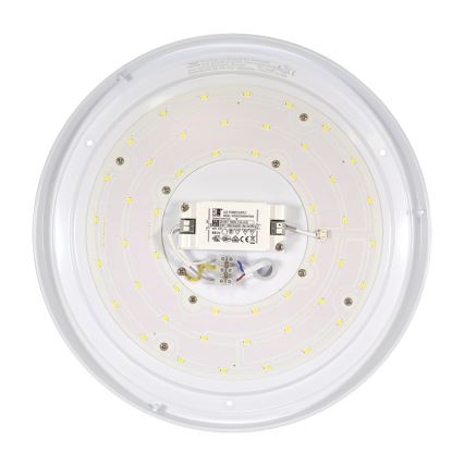Fulgur 24504 - LED Stropna svjetiljka ANETA DM LED/24W/230V 4000K