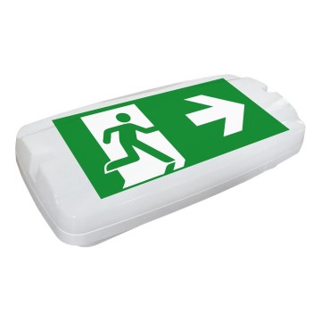 Fulgur 26201 - LED Panik svjetiljka SAFEBOY LED/6W/230V IP65 6500K