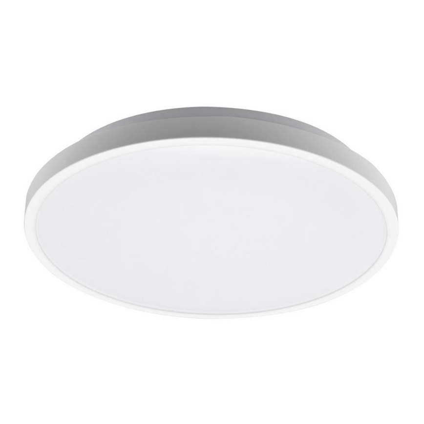 Fulgur 27473 - LED Stropna svjetiljka LINA 420 LED/24W/230V 2700K