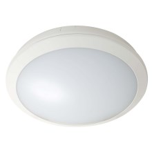 Fulgur 28844 - LED Vanjska stropna svjetiljka ZUZA LED/18W/230V IP66