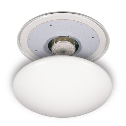 Fulgur s-24465 - LED stropna svjetiljka ANETA DUAL LED/36W/230V + LED/10W 4000K promjer 50 cm