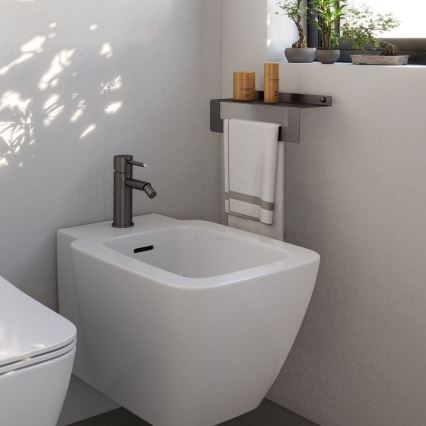 Gedy - Polica s vješalicom za ručnike CLEO 50 cm metalno-siva