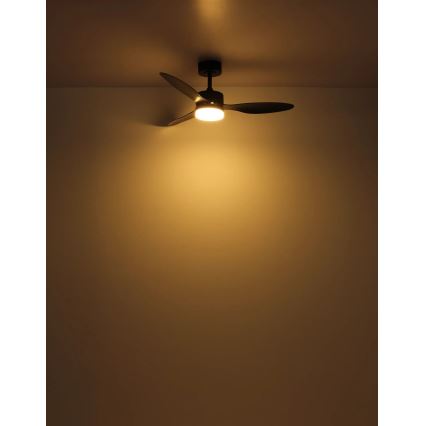Globo - LED Prigušivi stropni ventilator LED/20W/230V 2700-6500K + daljinski upravljač