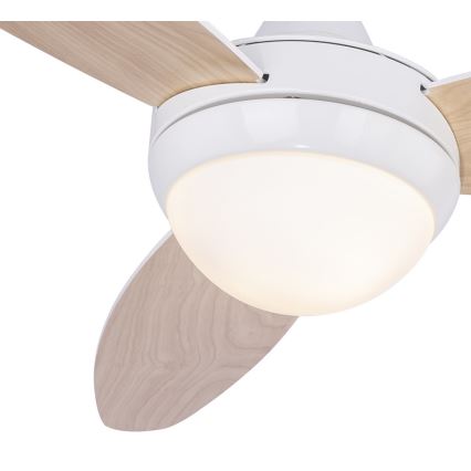 Globo 03612 - Stropni ventilator CORDULA 2xE14/40W/230V + upravljač