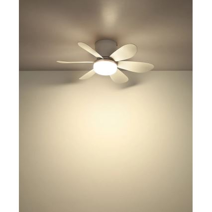 Globo - LED stropni ventilator s mogućnošću prigušivanja LED osvjetljenja LED/5W/230V 2700-6500K bijela + daljinski upravljač