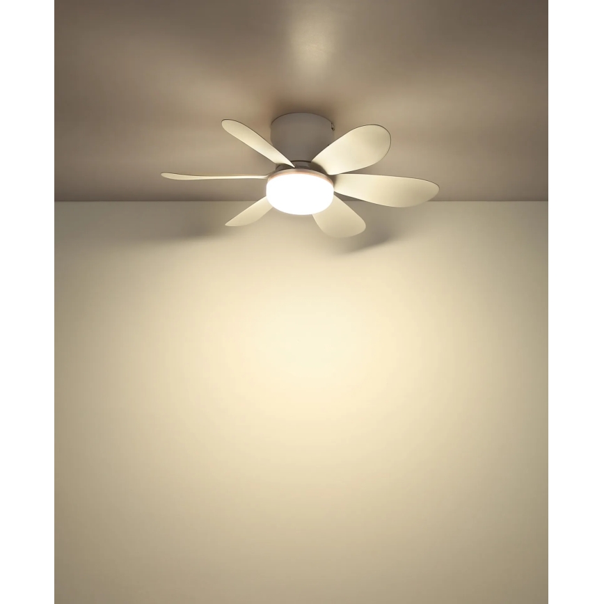 Globo - LED stropni ventilator s mogućnošću prigušivanja LED osvjetljenja LED/5W/230V 2700-6500K bijela + daljinski upravljač